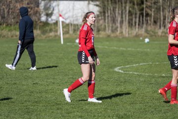 Bild 442 - F SG NieBar - IF Stjernen Flensborg : Ergebnis: 4:1
